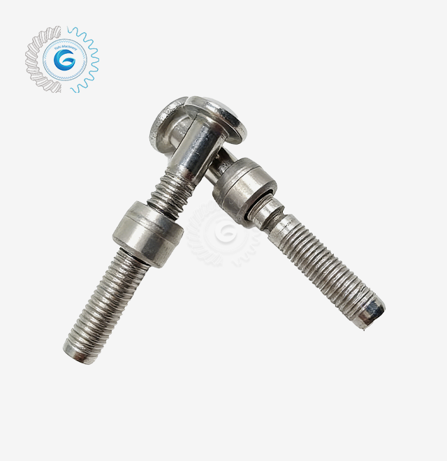 Stainless Steel Lock Bolt
